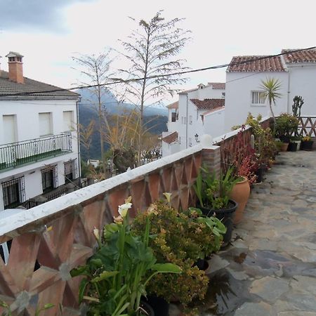 Apartamentos Rurales Jardines Del Visir Genalguacil Buitenkant foto