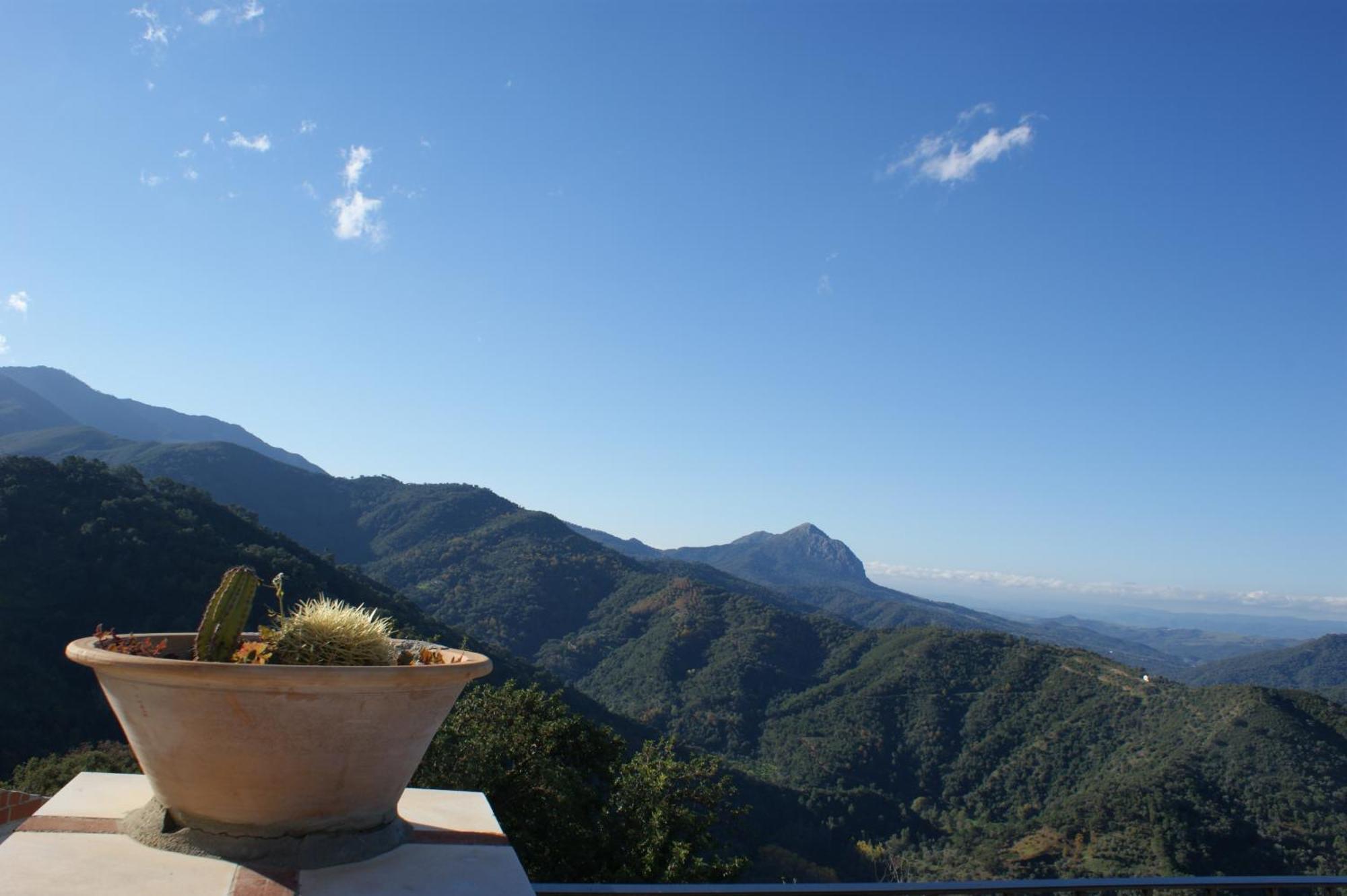 Apartamentos Rurales Jardines Del Visir Genalguacil Buitenkant foto