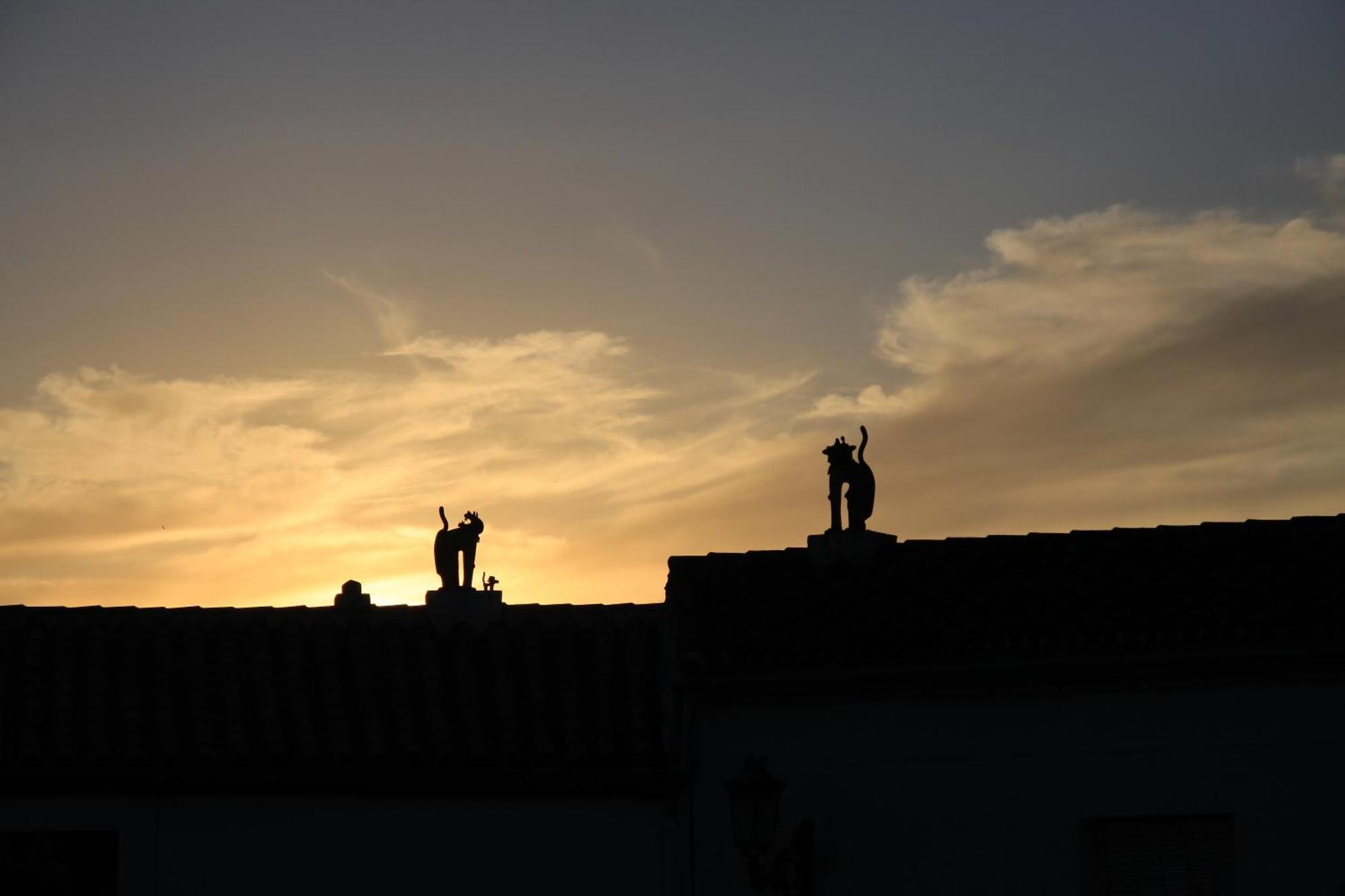Apartamentos Rurales Jardines Del Visir Genalguacil Buitenkant foto