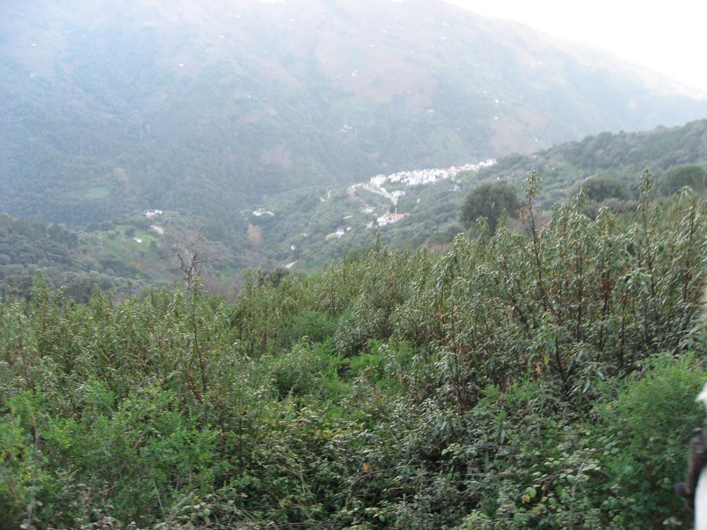 Apartamentos Rurales Jardines Del Visir Genalguacil Buitenkant foto